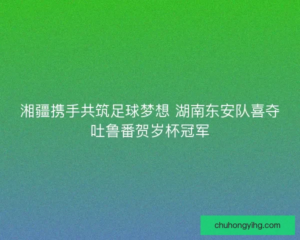 湘疆携手共筑足球梦想 湖南东安队喜夺吐鲁番贺岁杯冠军